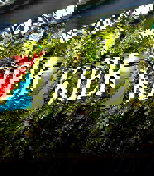 Media