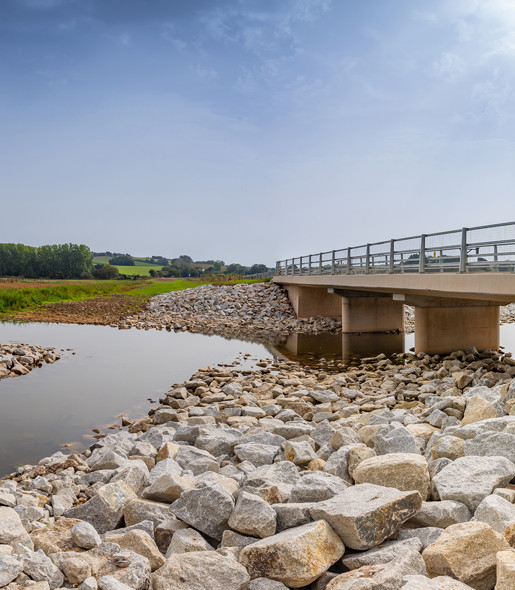 The Lower Otter Restoration Project