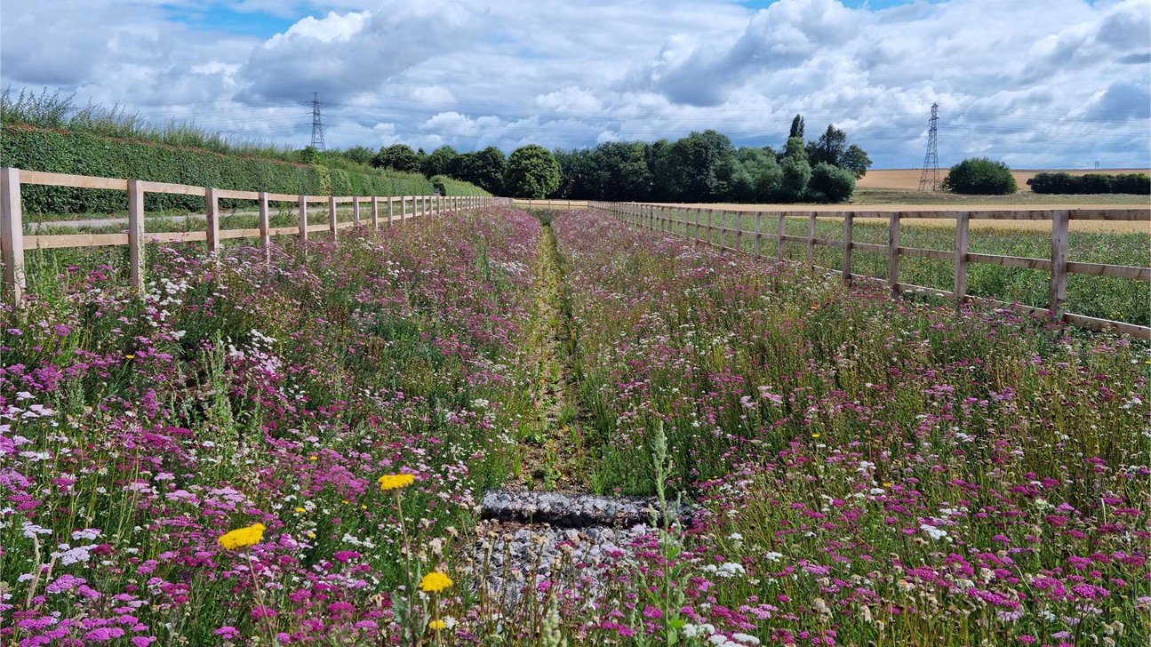 Mansfield Sustainable Urban Drainage Systems
